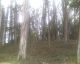 Photo_010809_002
