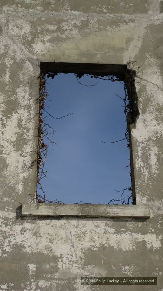 IMG_3229