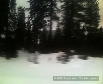 Video_010810_005