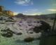 Video_010910_001